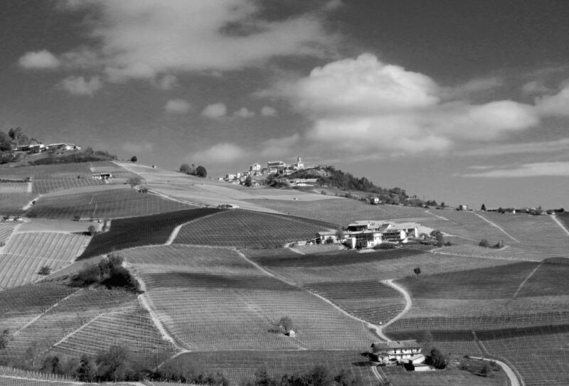 Langhe_Aprile_2022_BN Langhe_Aprile_2022_BN
